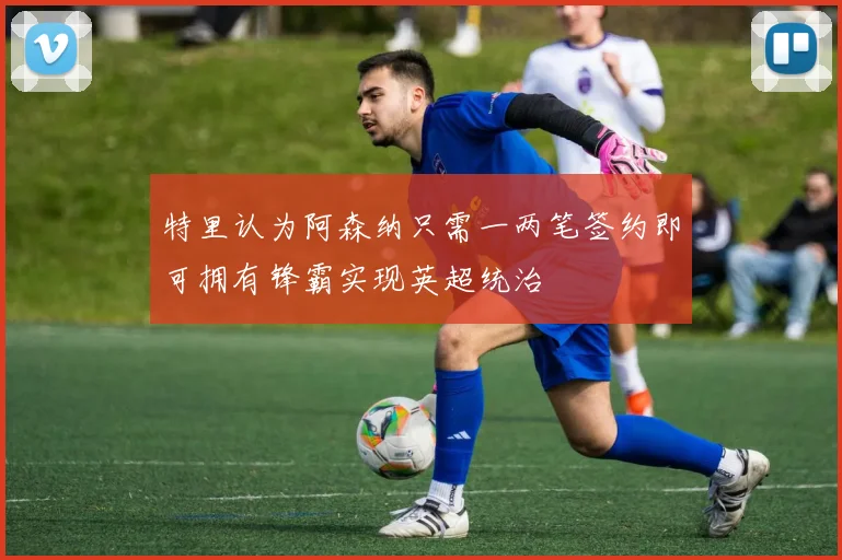 特里认为阿森纳只需一两笔签约即可拥有锋霸实现英超统治